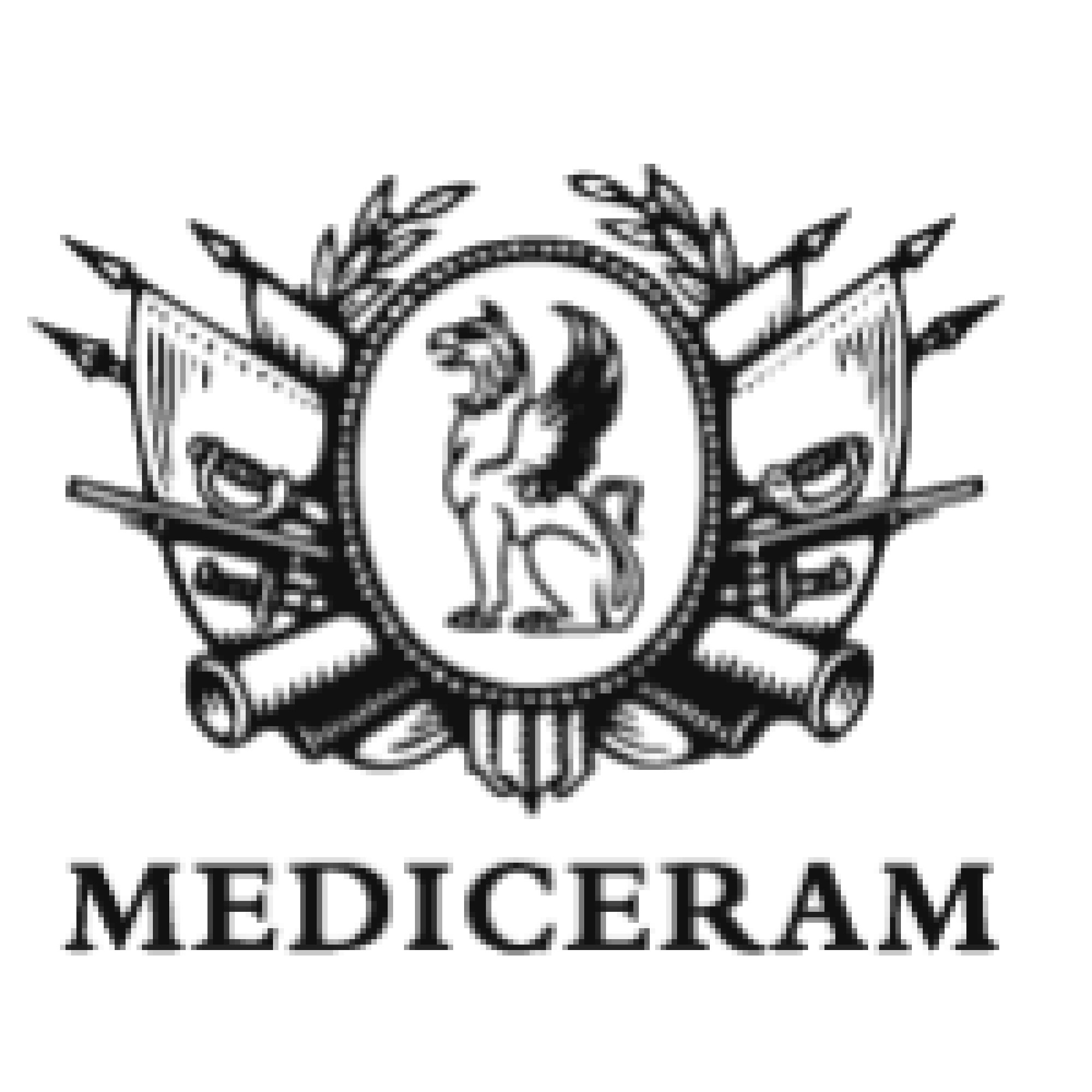 Logo campagna equity crowdfunding Mediceram S.r.l.
