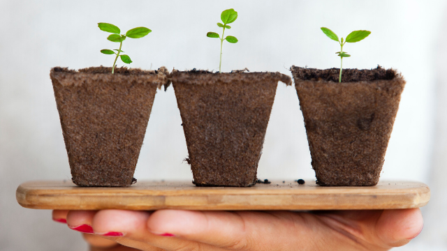 Equity crowdfunding: cos’è e come funziona